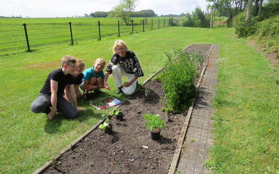 Juf Margreet met enkele leerlingen in de moestuin van basisschool de Klinkert in Sloten.